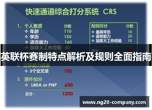 英联杯赛制特点解析及规则全面指南