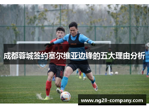 成都蓉城签约塞尔维亚边锋的五大理由分析