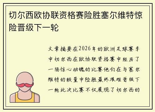 切尔西欧协联资格赛险胜塞尔维特惊险晋级下一轮